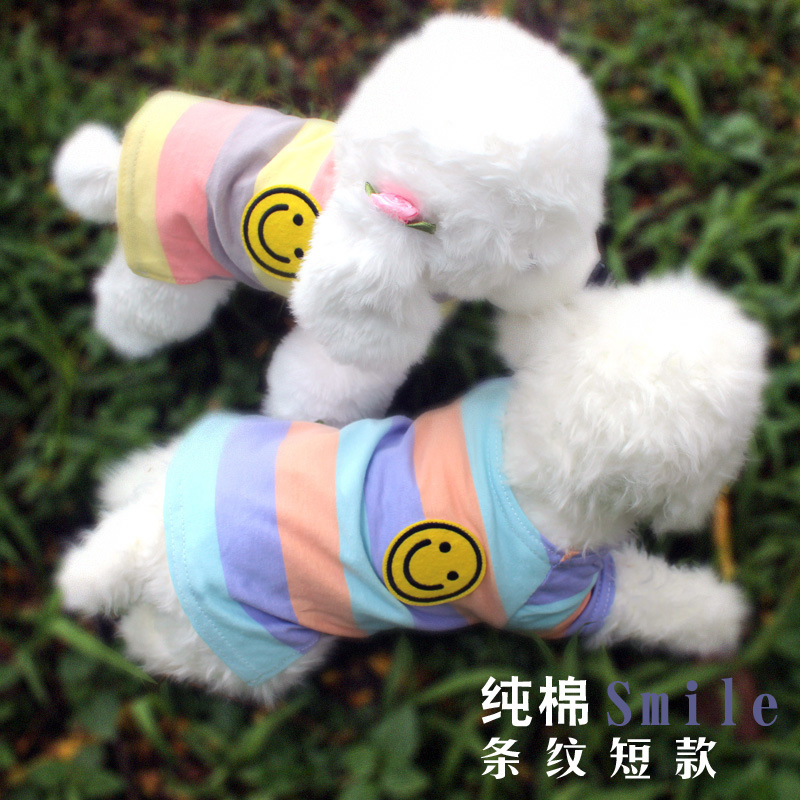 春夏秋款時尚寵物條紋T 泰迪博美法鬥狗狗衣服中小型犬狗短袖服裝