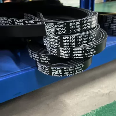 5Pk800 Avtomobil Transmissiya Kəməri/Çoxqabırğalı Kəmər/Pk Kəmər/Epdm Kəmər İstehsalçısı
