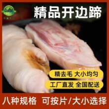 精选开边猪蹄去毛干净无瘀血大小均匀纯干无冰烤卤味连锁专用商用