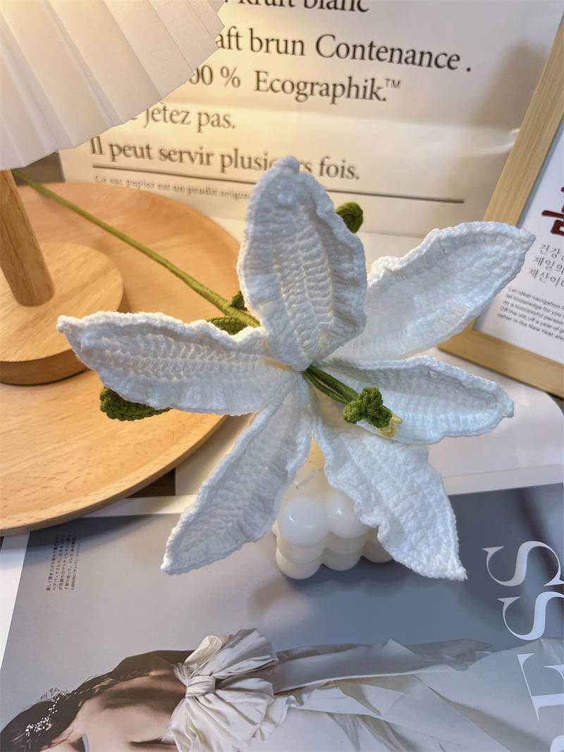 450g Weight Crochet Flowers Home Textiles & Decor Type Artificial Plant Event & Party Supplies 1 Piece Quantity Casual, Home, Daily Occasion yarn Material Flower Pattern Pastoral Style Pastoral Flower Yarn Crochet Flowers Artificial Flowers 8