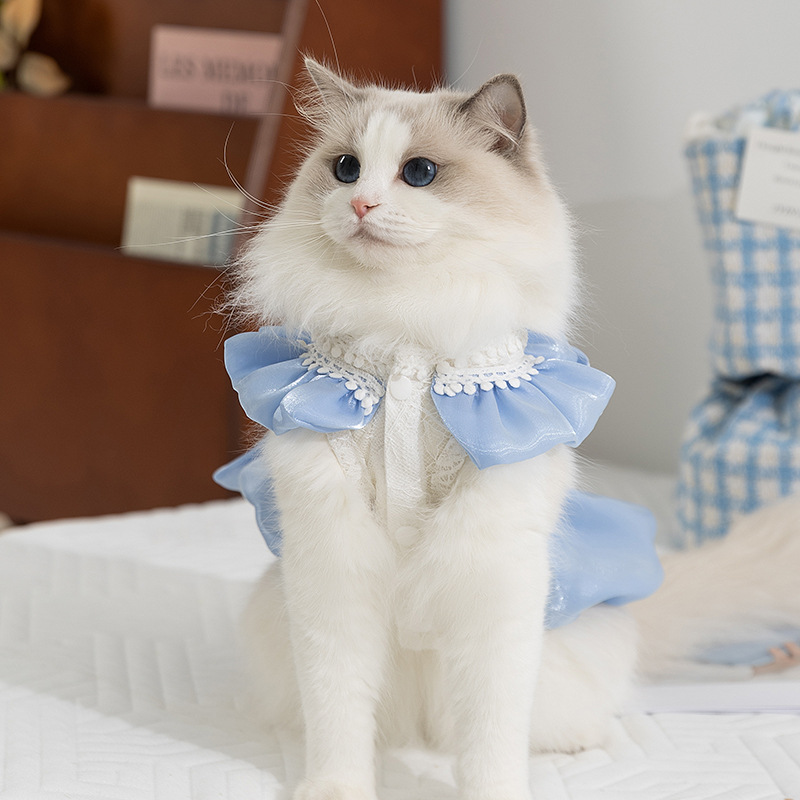 Estilo de primavera y verano de gato, vestido de princesa con lazo, falda de perro de tamaño mediano y pequeño, ropa de gato para mascotas