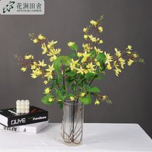 ���滨�糵���� ��ŷ�Ҿӿ����Ƶ���װ�ι��̻���ڼ������ٻ�