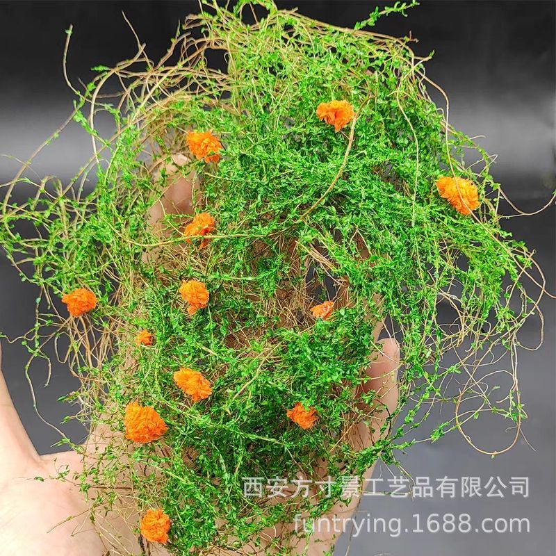 方寸景微缩仿真花藤模型花草爬山虎围栏装饰绿化DIY沙盘场景树叶|undefined