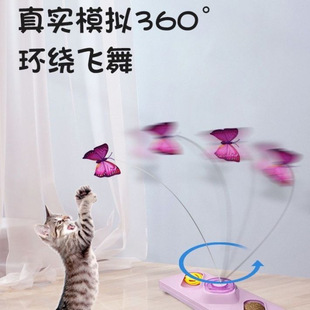 �����w؈������˽␞؈������ԄӶ�؈����ë���P����K������؈