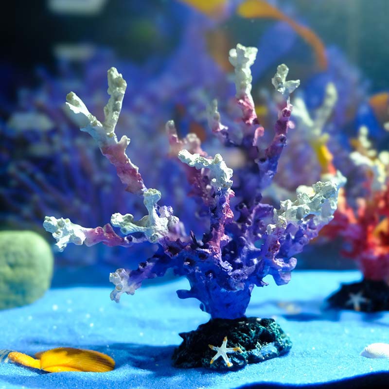 Artificial resina coral acuario decoración micro paisaje artesanía escritorio decoración natación peces jugar