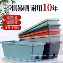 �߲�ݮ�̨�ش�̖�����̨�N�����Լ�ͥ�L���ηN������