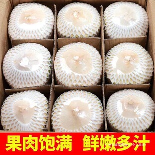 ���Ҭ�����خa9ˮ����ˮ�ЋD6Ҭ��Ҭ��Ҭ��Ҭ�����rҬ֭ëҬե�o