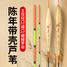 精品带壳芦苇浮漂手工鱼鳔醒目加粗鲫鱼鲤鱼混养大物野钓综合鱼漂