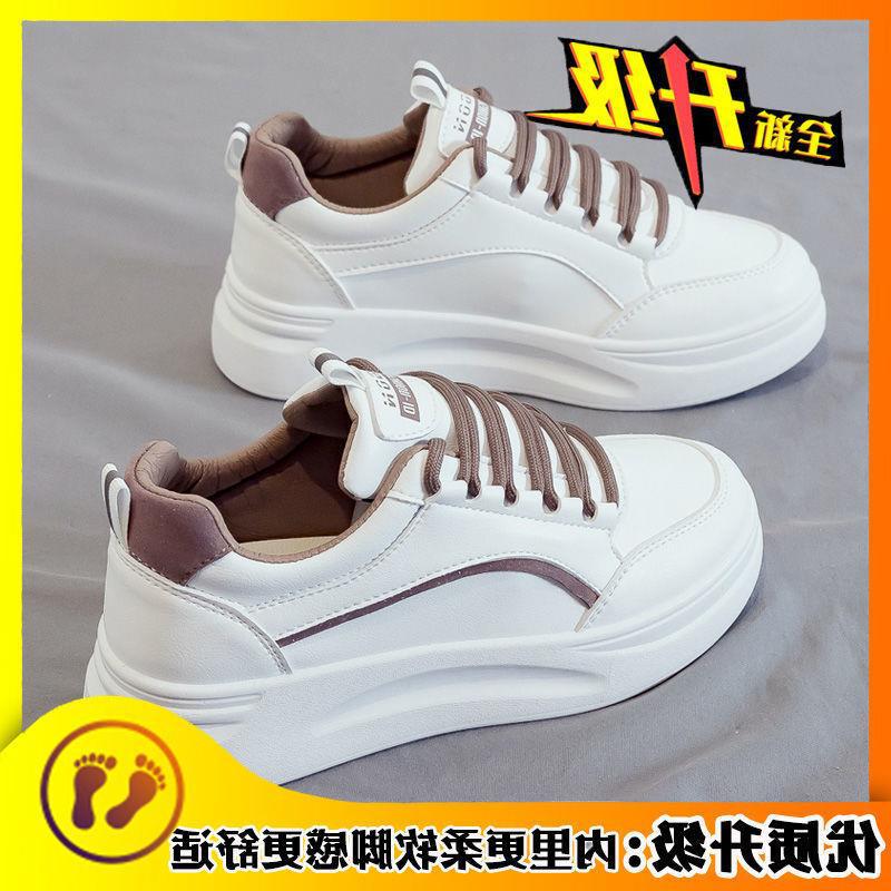 브라운 업그레이드 버전