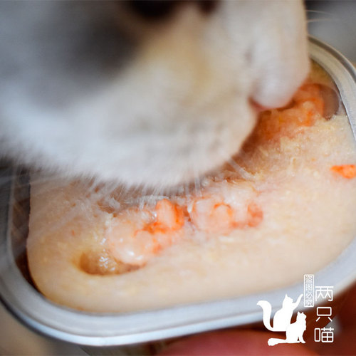 Wanpy naughty lunch box canned cat wholesale kitten wet food cat snack can mousse tuna chicken small can