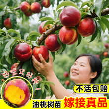 �޽Ӽt���Ҙ���������԰��������ˮ�������̨�ͺ����~�������