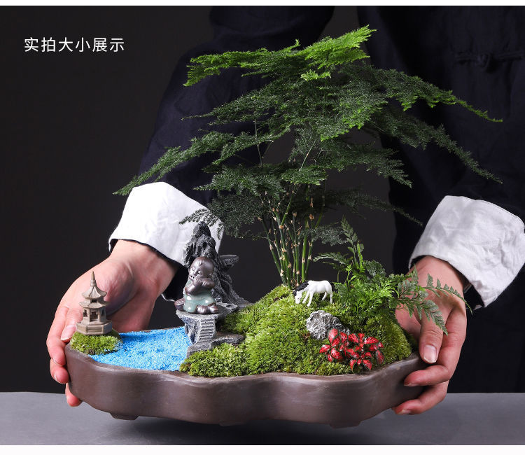 详情图