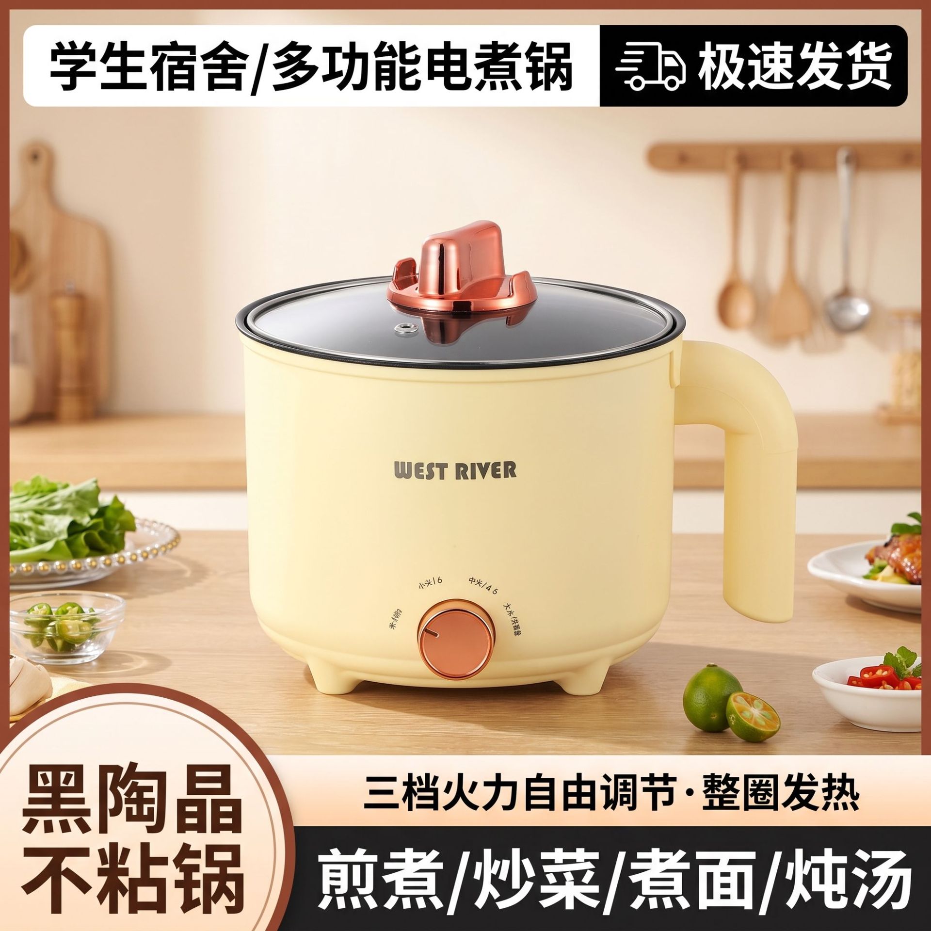 德国多功能一体电煮锅学生电热火锅家用蒸煮大容量电火锅小电煮锅