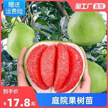 �޽�������t�����t���֘����Ϸ��Nֲ���Ե��Ԯ���Y��ͥԺ������