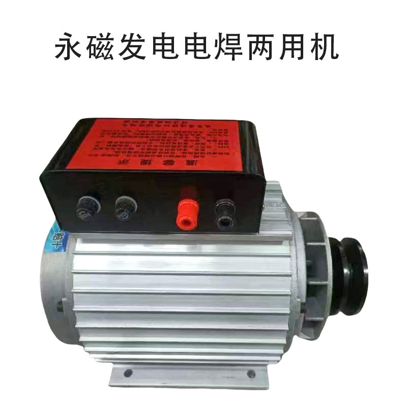 Factory In-Stock Generator 220V Dc Brushless Small Permanent Magnet Dual-Purpose Generator Outdoor Portable Generator