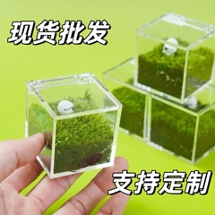 カスタマイズされたデスクトップ苔マイクロ風景オフィス労働者牛馬緑の植物の装飾品 DIY ギフト卒業シーズンギフト