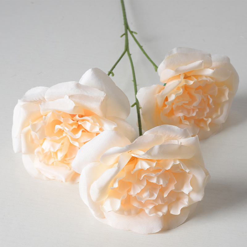 3 heads of big martin champagne