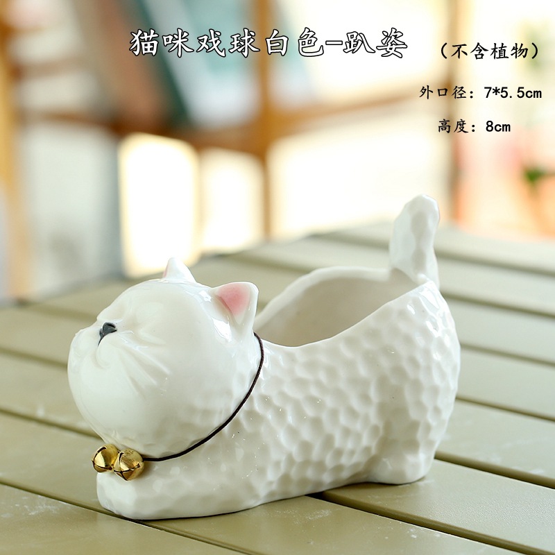 猫咪戏球白色-趴姿