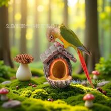 �羳�䘶�B�C�B��Ұ�Bι�B����֬��ˇƷ���@ͥԺ�����b����b�