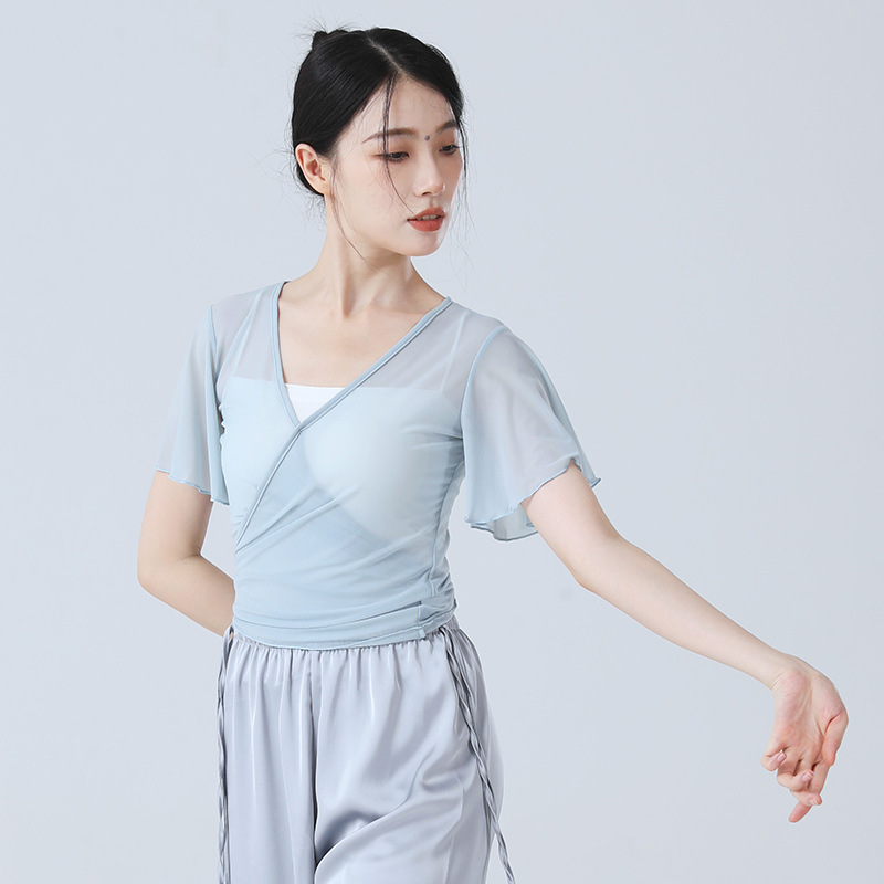 Classical Base Training Suit Body Rhyme Training Costume Dance Modern Mesh Short Gauze Clothes Elegant Small Flying Sleeve Performance Dance Suit