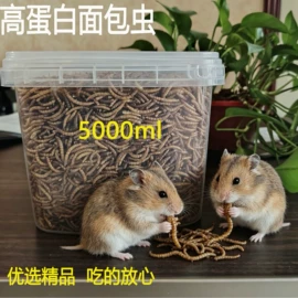 仓鼠零食;鸟类;鸟食