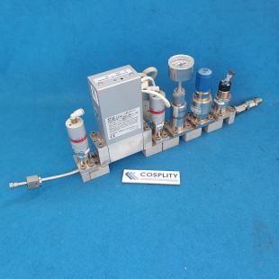 AERA TC FC-D986CY-BF MFC ASSY 10 SLM He W/ FUJIKIN VALVES-