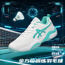 �羳���I ƥ����Ь�W��ЬPickleball&zwnj;�t��Ӳ����Ů��ِ��ë��Ь