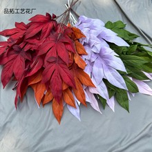 ������������~��c�����~�Ļ�Y�廨���ü��~�ӔzӰ���߼ٻ����Q