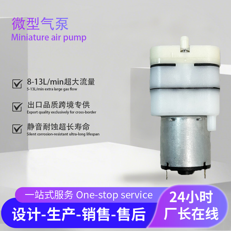 厂家批发定制吸奶仪美容仪散雾器吸黑头仪微型真空泵12V微型气泵