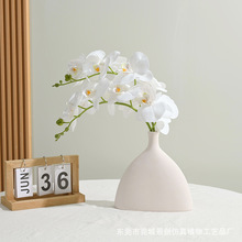 شָбm滨ٻ͏db[l