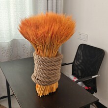 麦穗大麦干花花店花束开业花篮花架田园装饰道具稻穗干花黄金花束
