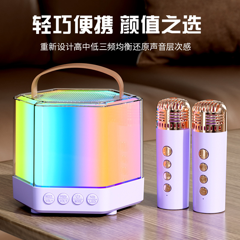 K12K30 Bluetooth カラオケ オーディオ オールインワン マイク マイク ライト付き アウトドア 子供 家族 KTV スピーカー セット|undefined