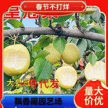 һ�����l�ʹ��������ִ������������ˮ��ѩ��޽��S����������