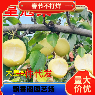 һ�����l�ʹ��������ִ������������ˮ��ѩ��޽��S����������