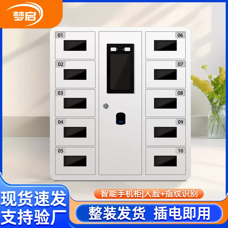指纹密码人脸识别屏蔽存放柜员工寄存柜壁挂钥匙智能存储柜文件柜