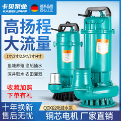 Qdx家庭用潜水ポンプ農業用灌漑ポンプ1インチ2インチ3インチ4インチ大流量ポンプ小型ポンプ