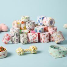 ͨ�Ì���؈�乷����ճ�X�������_�׏�����ָ�X���̶�����ӡ���X��