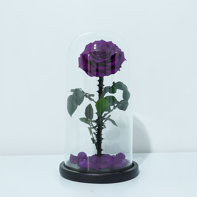 永生花玻璃罩大王子单朵玫瑰花七夕情人节女朋友生日礼物永生花|undefined