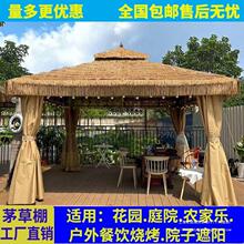 �����ͤͥԺ����������r�Ҙ������������e���ﾰ�^é���ĽǛ�ͤ