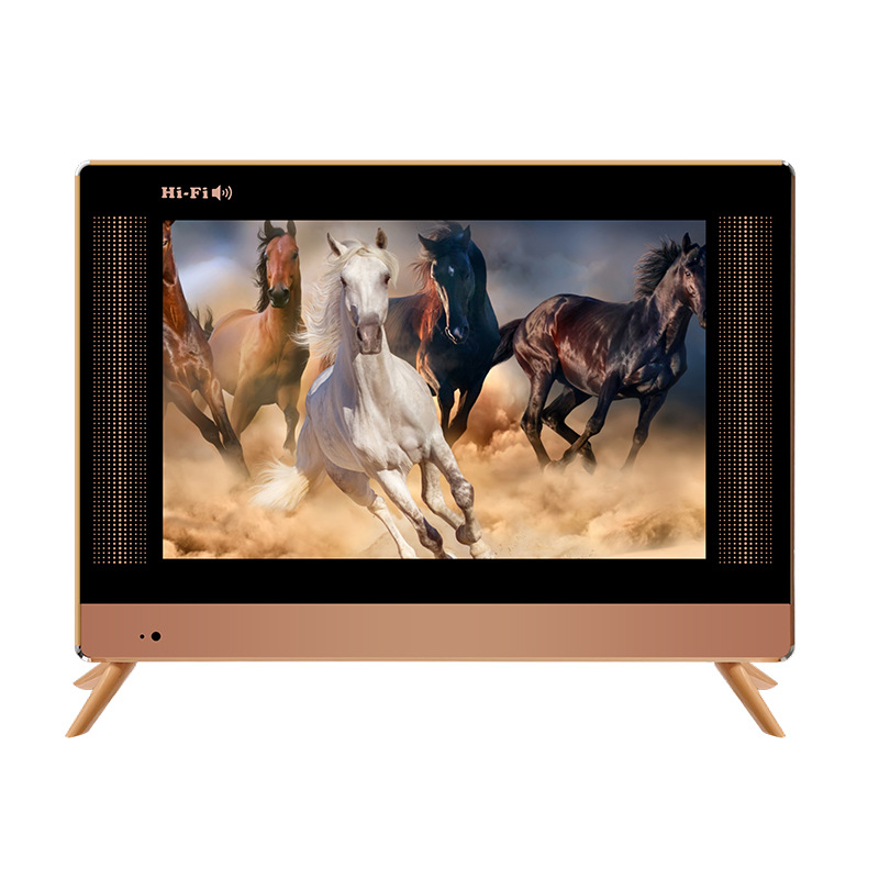 Export Customized 17-Inch 19-Inch 24inch 32inch Dc12V Solar Tv, Africa, India, Congo Can Be Oem