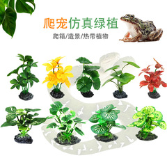模擬水生植物、水槽、造園、爬虫類ボックス、造園植物、食器、装飾品、布葉、花、植物、さまざまな選択肢