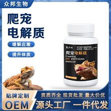 ����늽��|�����I�B�a�}�_ʳ�S���ر��y�،m�������������������