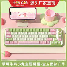 ��ݮţ��С�� ԭ����ñ ԭ���߶ȸ��Կ��ƻ�pbt��������е����ñ