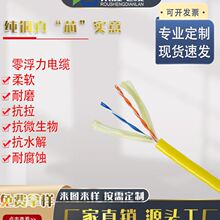 �Gɫ��������ˮ����̖���ƾ� ˮ��ROV�| ����ˮ�㸡����| Ě���|