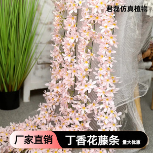 ���涡�㻨�ٗl�ٻ����������b��҃ȿ��{�ܵ��p�@�ړ��������l