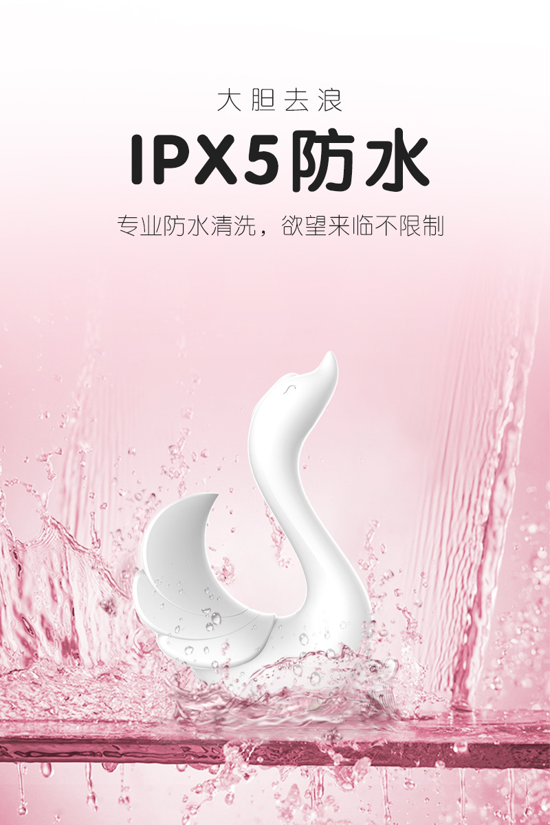 天鹅-中文详情图-0015