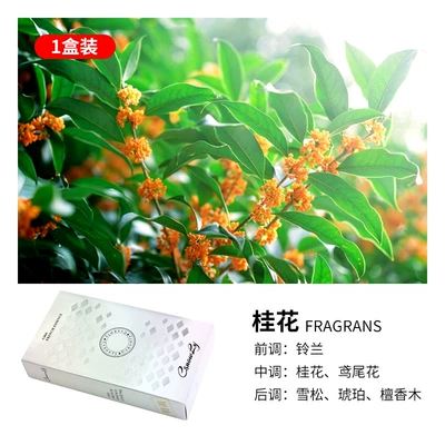 flavor aromatherapy deodorant BLANG — Car Perfume Aromatherapy - osmanthus-350g
