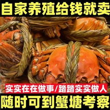 �d�����lз�з��ĸзëзˮ�aԭ�a��ֱ�l�Fُ��ȫ�������̶Y��