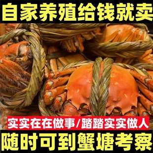 �d�����lз�з��ĸзëзˮ�aԭ�a��ֱ�l�Fُ��ȫ�������̶Y��