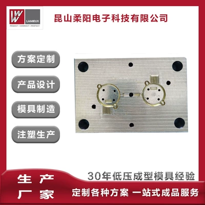 Avtomobil hissələri qəlibləri Injection Mold Precision Machining